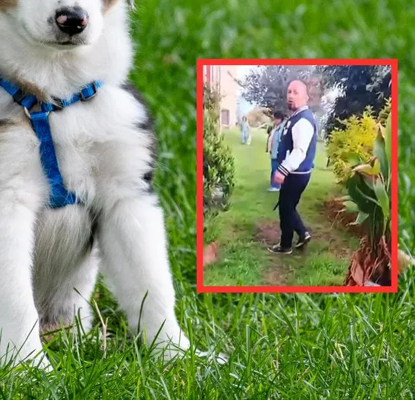 Hombre amenazó con matar a perro en conjunto de Suba, Bogotá: hay video