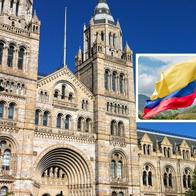 Fotos de Museo de Historia Natural de Londres y bandera de Colombia, en nota de por qué Colombia brilló en Museo de Historia Natural de Londres por oso andino