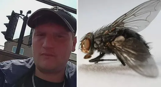 Joven agricultor murió luego de ser picado por una mosca: esto pasó