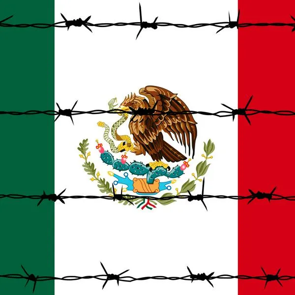 Encuentran restos humanos en bolsas en México: fosa común en Jalisco
