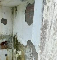 Los baños que son una tristeza en escuela rural de Caldas, comunidad alista campaña en busca de materiales