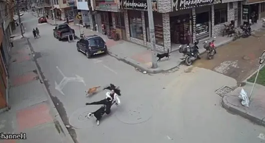Video viral de joven en patineta que cayó por culpa de unos perros en Mosquera