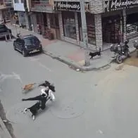 Video viral de joven en patineta que cayó por culpa de unos perros en Mosquera