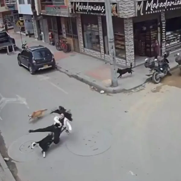 Video viral de joven en patineta que cayó por culpa de unos perros en Mosquera