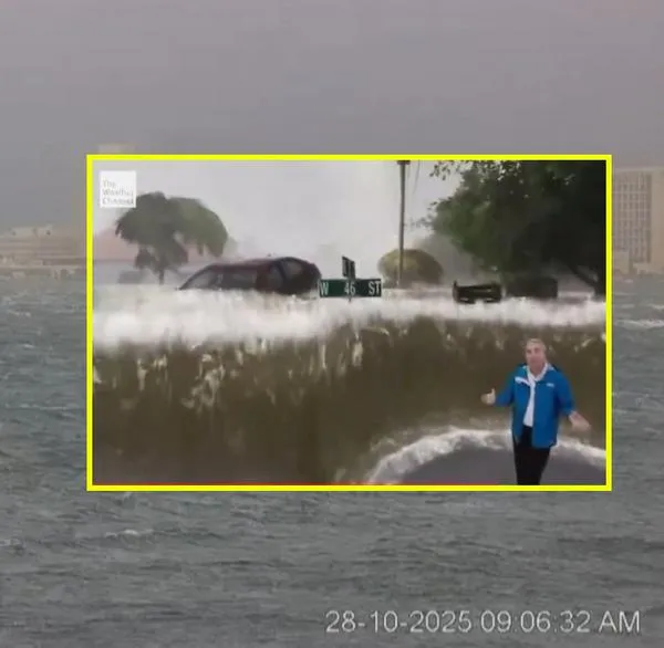 imagen principal home