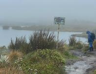 Se recuperó predio de alto valor ambiental en zona rural de Bogotá 
