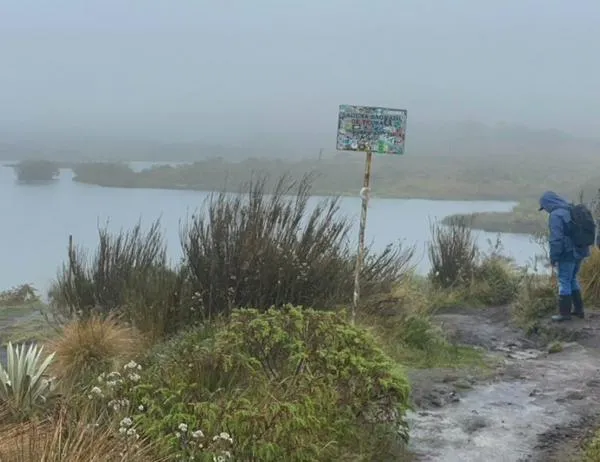 Se recuperó predio de alto valor ambiental en zona rural de Bogotá 