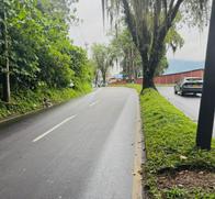 Vía entre Pereira y corregimiento turístico estará cerrada por tala de árbol hoy 29 de octubre