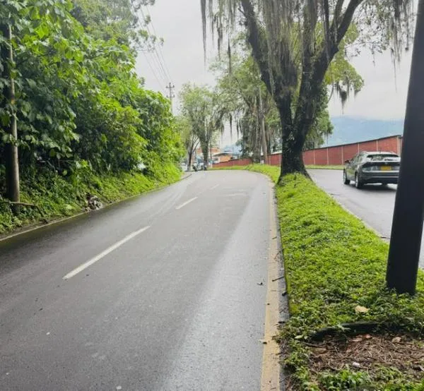 Vía entre Pereira y corregimiento turístico estará cerrada por tala de árbol hoy 29 de octubre