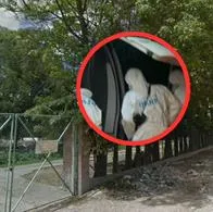 Sicariato en Fontibón (Bogotá): hombre fue asesinado cuando cruzaba por un parque del sector. Delincuente en moto le disparó.