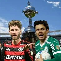 Flamengo y Palmeiras, finalistas de la Copa Libertadores 2025