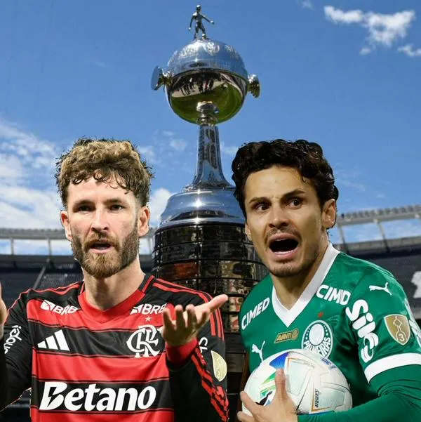 Flamengo y Palmeiras, finalistas de la Copa Libertadores 2025