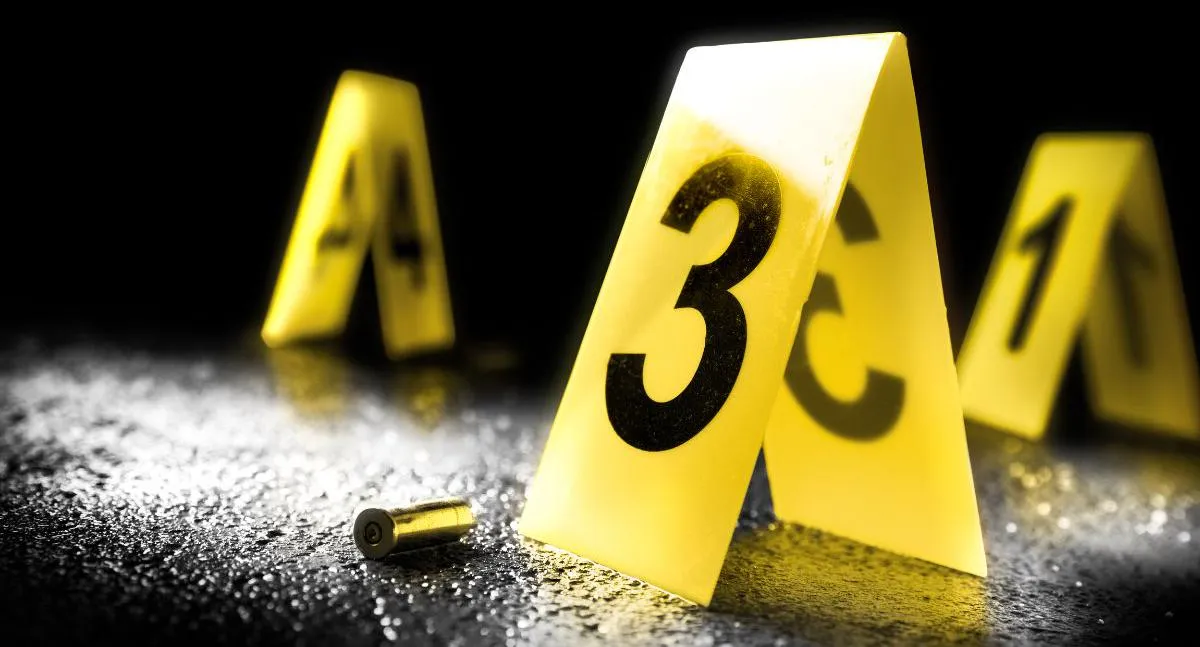 Imagen representativa del artículo