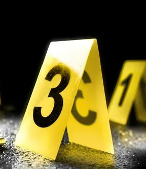 Imagen representativa del artículo