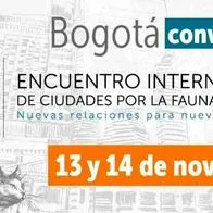 Bogotá convoca al Encuentro Internacional de Ciudades por la Fauna Doméstica 
