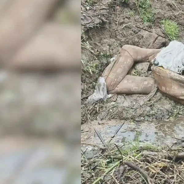 Calarcá fortalece conciencia ecológica y prácticas sostenibles con la Semana de la Educación Ambiental