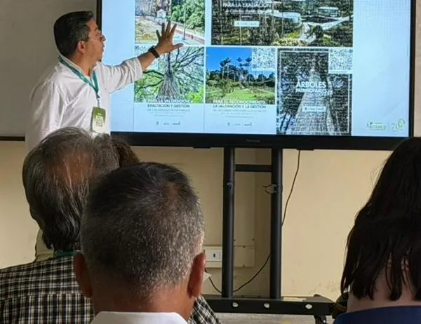 Jardín Botánico de Bogotá presentó en Ibagué avances de gestión del arbolado en Congreso Forestal Nacional 