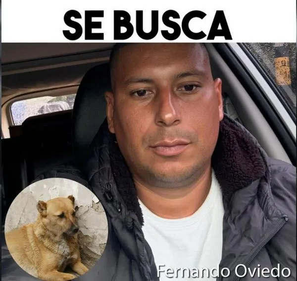 Hombre asesinó a perro en Antioquia: lo están buscando por crueldad