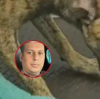 Se entregó hombre que golpeó a su perro en Antioquia, llegó con una mascota