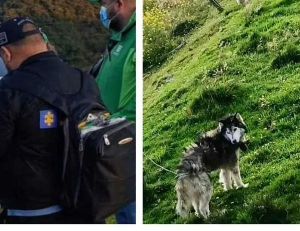 Autoridades desmantelaron criadero ilegal en zona rural de Ciudad Bolívar en Bogotá 