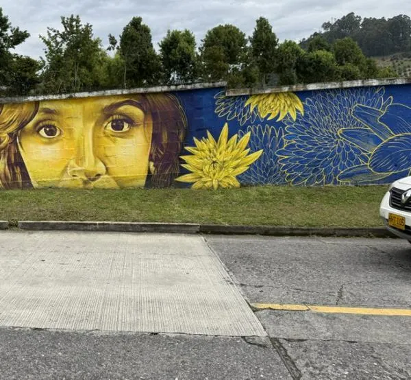 Un mural sobre daltonismo en Manizales busca acercar el arte a la inclusión: ¿dónde está ubicado?
