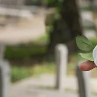 ¿Sabes qué hacer si un familiar fallece en casa?