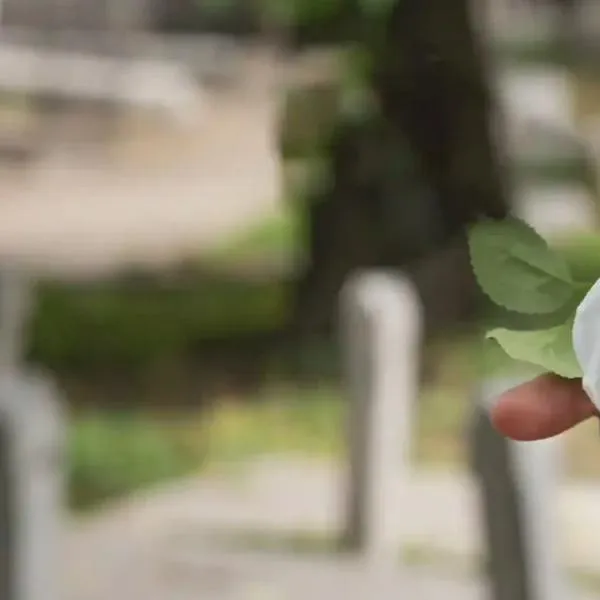 ¿Sabes qué hacer si un familiar fallece en casa?