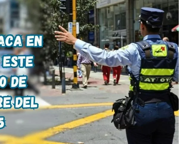 Pico y placa en Pereira (Risaralda) este lunes, 10 de noviembre del 2025