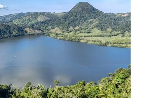 ICA confirma causa de la enfermedad y muerte en las tilapias en laguna de San Diego (Caldas)