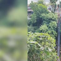 Desmonte del puente de La Miranda, el inicio del sueño de una estructura nueva