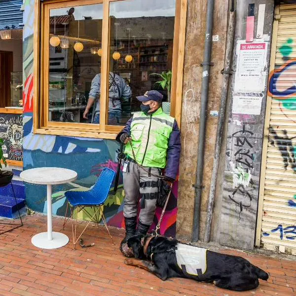 Foto de perros de vigilantes, en nota de cómo son las leyes para perros de seguridad en Colombia, según cambios en 2025