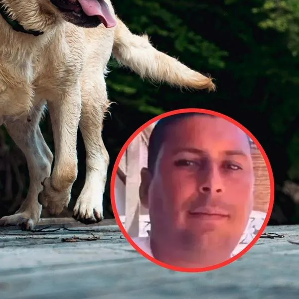 El hombre que se entregó en Antioquia por maltratar a un perro quedó en libertad