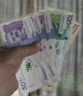 Imagen representativa del artículo