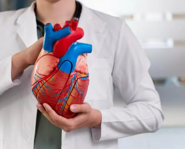 Arritmias: ¿cuándo representan un riesgo cardiovascular?, lea recomendaciones