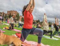 Clase de stott pilates y danza contemporánea en la Casona de la Danza ¡No te lo pierdas! 