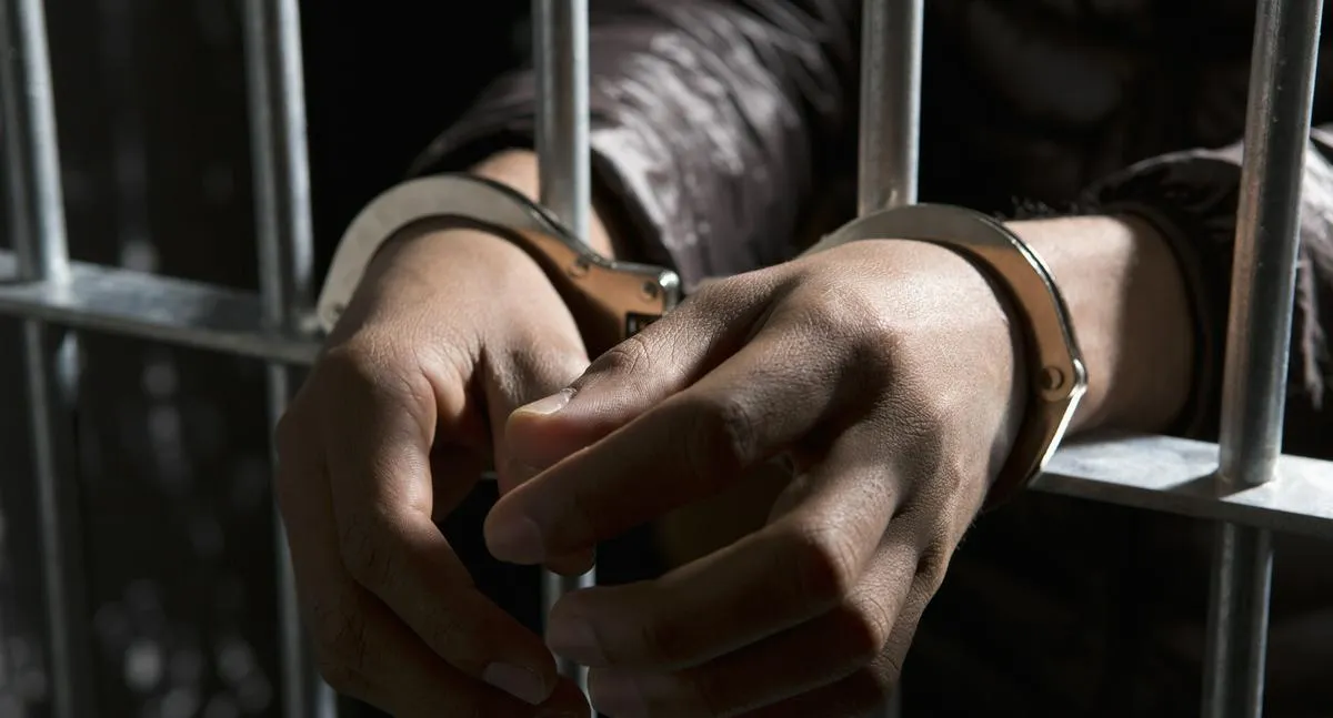 Imagen representativa del artículo