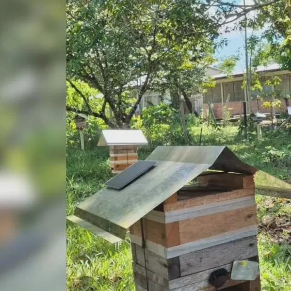 De Montenegro al Putumayo: Jhony Hurtado lidera el proyecto Melisense con ciencia y naturaleza