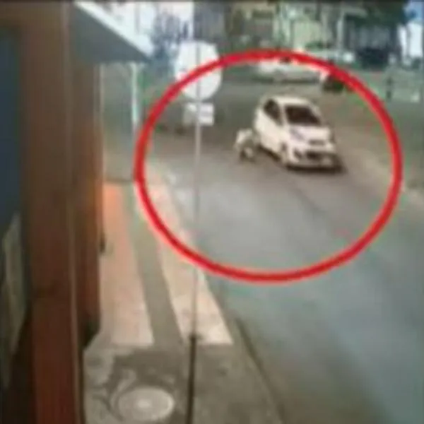 Taxista atropelló a hombre con su mascota en Bogotá y se escapó; hay video del accidente en la capital. 