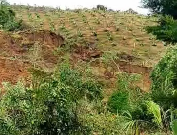 Deslizamiento de tierra tiene bloqueada vía al norte de Caldas: Pácora y Salamina están afectados  