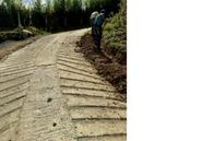 Construyen 300 metros de placa huella en municipio turístico del Eje Cafetero: comunidad beneficiada aportó