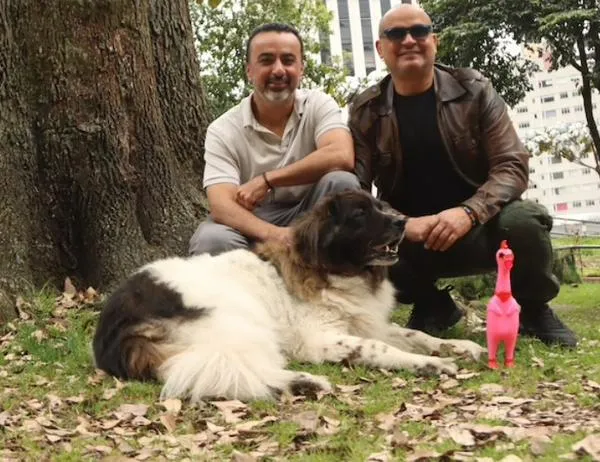 Inicia la cuenta regresiva para vivir la Semana del Buen Trato en Bogotá 