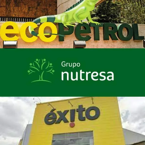 Datazo sobre lo que pasa con Ecopetrol, Nutresa y Éxito en Colombia: otras empresas están en vilo con las caídas presentadas. 