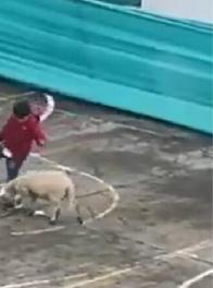 Niño de Sumapaz se vuelve viral al jugar al fútbol con su oveja