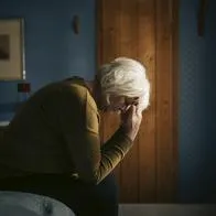 Estafador robaba mesadas a pensionados en Bogotá: hacker de los mil nombres