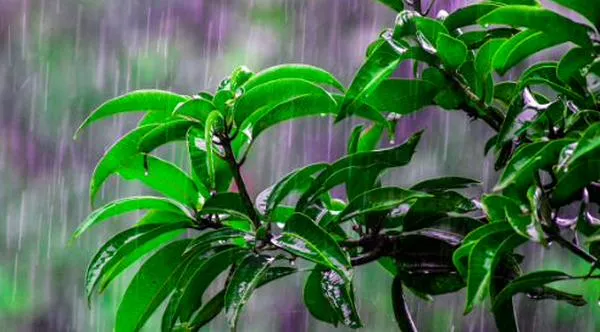 Colombia, uno de los países más lluviosos del mundo: ¿por qué llueve tanto? 