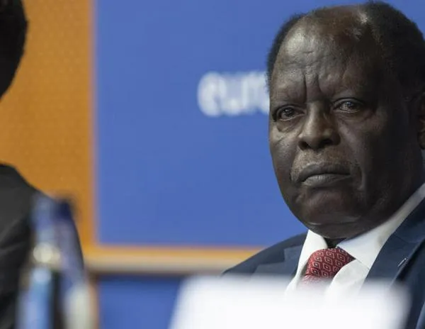 “Los terribles crímenes en Sudán son básicamente un genocidio”