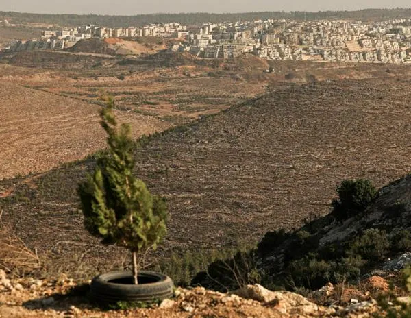 Jóvenes colonos multiplican los actos violentos contra palestinos en Cisjordania