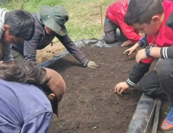 Semillas de conocimiento en el páramo: los niños que cultivan el futuro de Sumapaz 