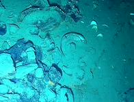 Galeón San José: el ICAHN recuperó cañón de 2,5 toneladas, monedas históricas y más