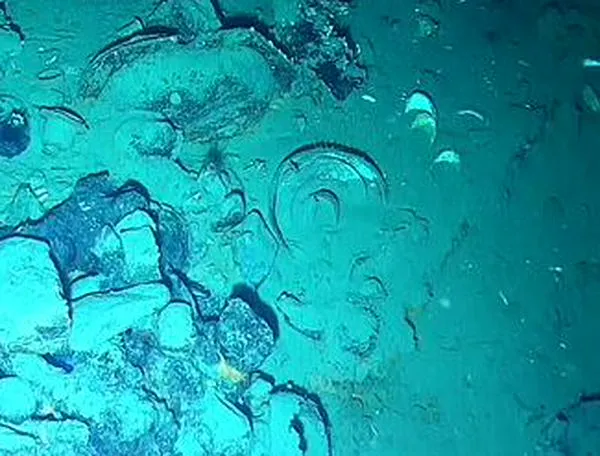 Galeón San José: el ICAHN recuperó cañón de 2,5 toneladas, monedas históricas y más